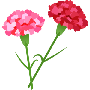 【GW明け🌱】